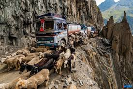 <p>Zojila geçidi</p>
<p>Nerede: Hindistan<br />
Rakım: 3,500m<br />
Risk: Yüksek irtifa ve yoldaki hayvan sürüleri</p>
<p>Ladakh ve Kaşmir'i birbirine bağlayan bu 9 kilometrelik yolun deniz seviyesinden yüksekliği tam 3.500 metre. Haritadan kısa gibi gözüken bu mesafeyi almak, öyle arabayla Pazar gezisi yapmaya hiç benzemiyor, hatta buradan ilerleyebilmek için Mars'ta yürüyen araçlardan bir tane bulabilirseniz işiniz daha kolaylaşır.</p>
