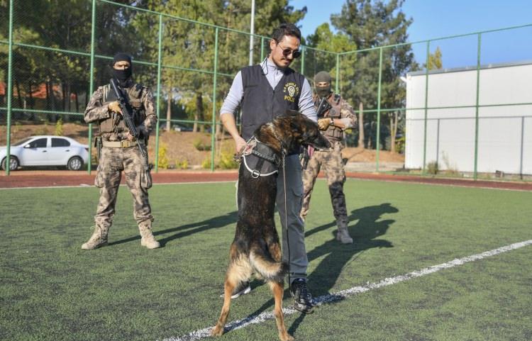 <p> Türkiye'nin çeşitli kentlerinde düzenlenen terörle mücadele operasyonlarında görev alarak önemli başarılara imza atan Belçika Malinois cinsi "Timsah" adlı bomba arama köpeği, emekliye ayrıldı.</p>
