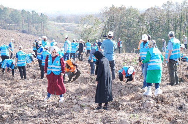<p>Milli Ağaçlandırma Günü kapsamında Üsküdar İmam Hatip Okulları Mezunları ve Mensupları Derneği (ÜSİMDER) Kanlıca Orman İşletme Müdürlüğünün dernek için Ömerli Fidan Dikim Alanı'nda ayırdığı alanda fidan dikti.</p>