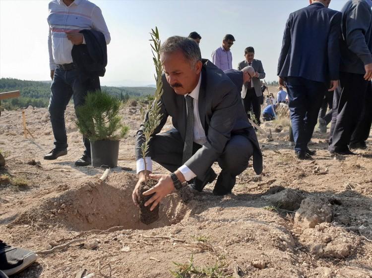 <p>OSMANİYE</p>
