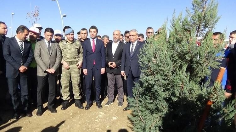 <p>Muş’ta Milli Ağaçlandırma Günü kapsamında 80 bin fidan dikildi.</p>

