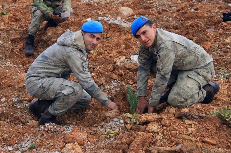 <p>Yüzde 68’i ormanlarla kaplı Muğla’da bu yıl ve geçen yıllarda yanan sahalara 200 bin fidan dikimi yapıldı.</p>
