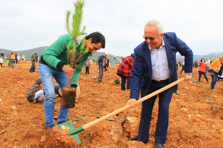 <p>MUĞLA</p>
