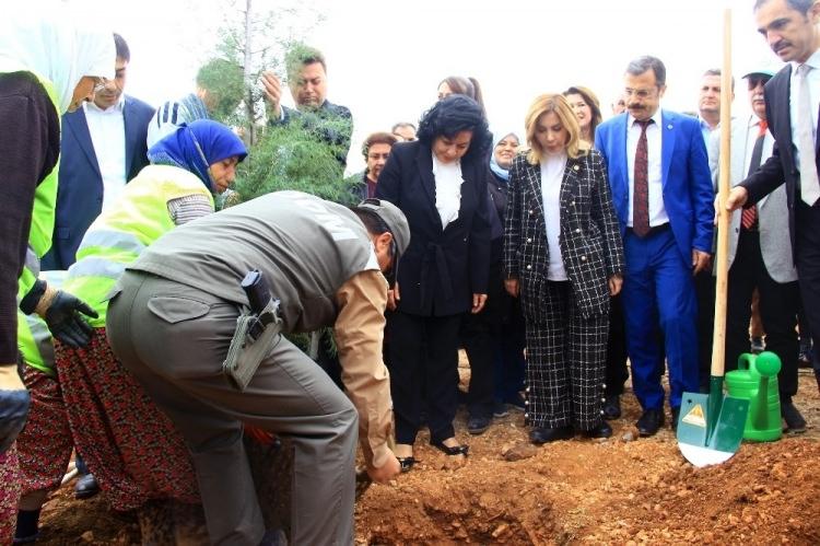 <p>MUĞLA</p>
