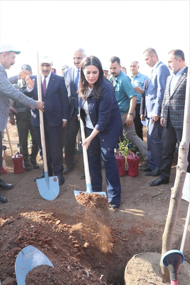 <p>Tarım ve Orman Bakanlığı tarafından gelecek nesillere daha yeşil bir Türkiye bırakmak için başlatılan Milli Ağaçlandırma Günü "11 Milyon Ağaç; Bugün Fidan, Yarın Nefes" programı kapsamında, Adana'da fidan dikimi yapıldı. Seferberlik kapsamında Adana'da 43 farklı lokasyonda gerçekleştirilen etkinlik kapsamında 205 bin fidan, toprakla buluştu. Sarıçam ilçesi Gökbuket Mahallesi'ndeki etkinlikte, AK Parti Genel Başkan Yardımcısı Jülide Sarıeroğlu'nun katılımıyla 2 bin 300 kişi 25 bin fidan dikti.</p>

<p> </p>
