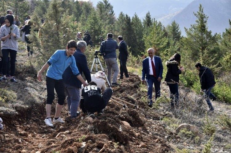 <p>G&uuml;m&uuml;şhane&rsquo;de 11 Kasım Milli Ağa&ccedil;landırma G&uuml;n&uuml; nedeniyle 7&rsquo;den 77&rsquo;ye toplumun b&uuml;t&uuml;n kesimlerinin katılımıyla 20 ayrı noktada 70 bin fidan toprakla buluşturuldu.</p>

<p>&nbsp;</p>
