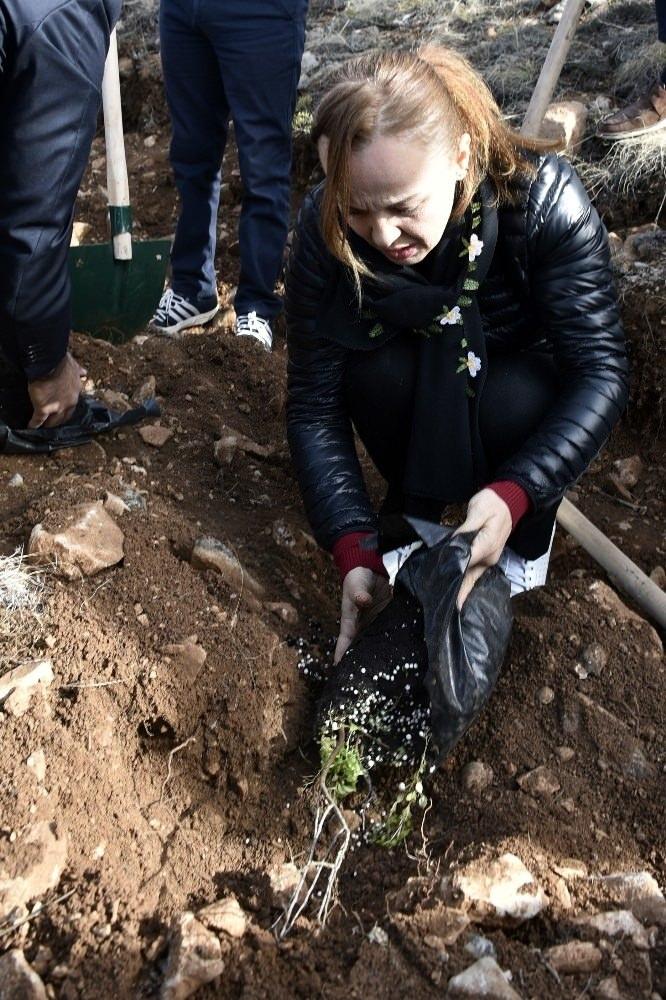 <p>G&Uuml;M&Uuml;ŞHANE</p>
