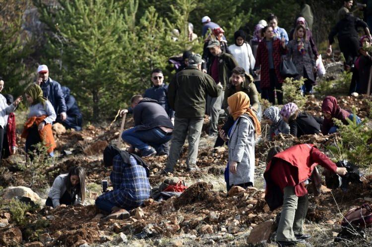 <p>G&Uuml;M&Uuml;ŞHANE</p>
