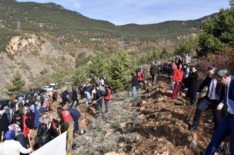 <p>G&Uuml;M&Uuml;ŞHANE</p>
