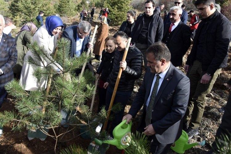 <p>G&Uuml;M&Uuml;ŞHANE</p>
