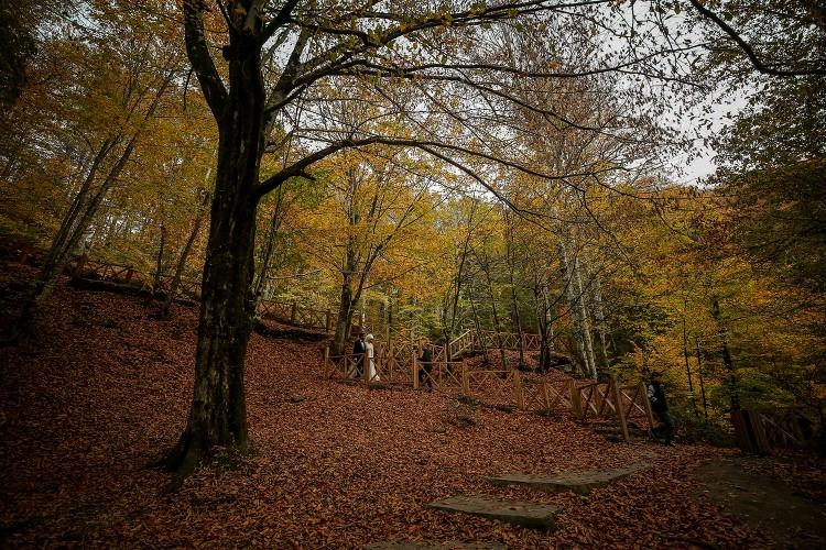 <p>Daha önce birkaç şelale gördüğünü ancak en güzelinin Suuçtu olduğunu vurgulayan Büyükışık, "Sonbahar renkleriyle harika olmuş. </p>

<p> </p>
