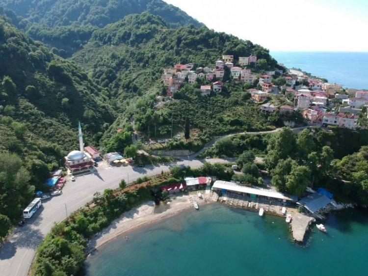 <p>Giresun-Katılım Durumu %114 Hedeflenen Fidan: 115.935 Sahiplenilen Fidan: 132.439</p>
