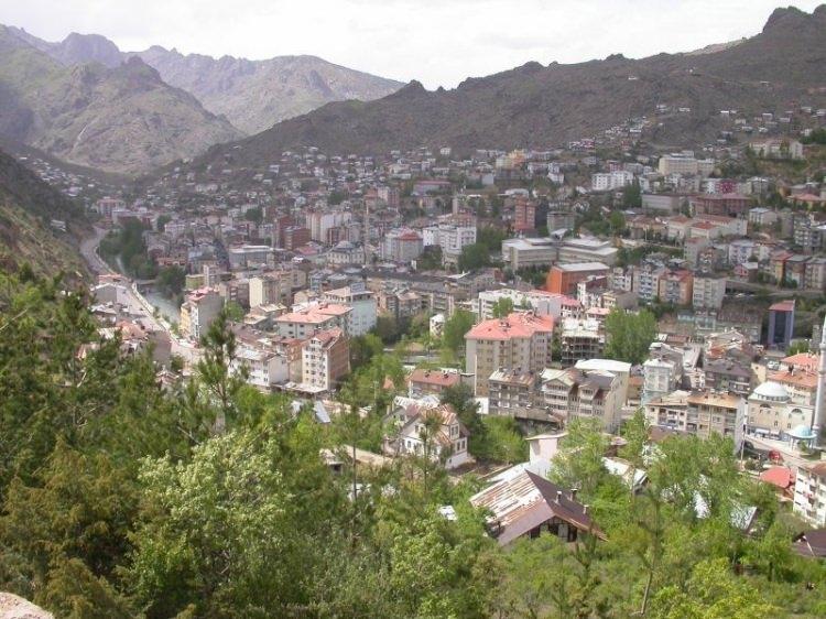 <p>G&uuml;m&uuml;şhane-Katılım Durumu %111 Hedeflenen Fidan: 70.000 Sahiplenilen Fidan: 78.210</p>
