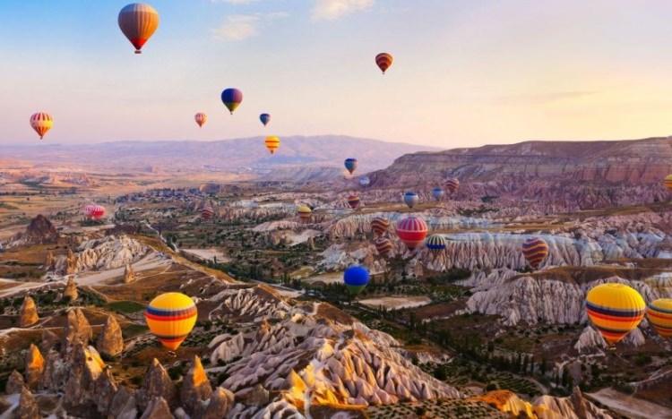 <p>Nevşehir-Katılım Durumu %122 Hedeflenen Fidan: 50.000 Sahiplenilen Fidan: 61.150</p>
