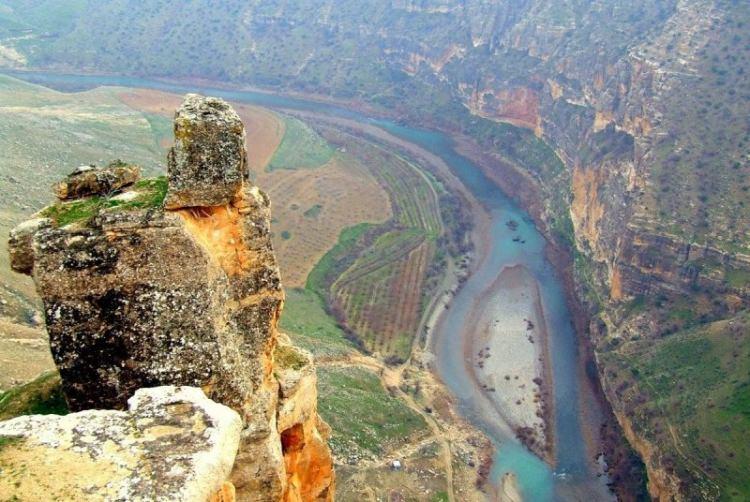 <p>Siirt-Katılım Durumu %123 Hedeflenen Fidan: 100.000 Sahiplenilen Fidan: 123.035</p>
