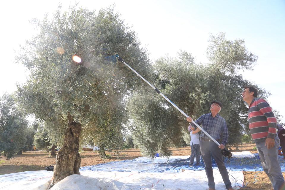 <p> Buradan çıkan hamura karıştırma ve yoğurmadan sonra su veriliyor, posa ve şıra ayrıştırılıyor. Şıradan da yağ ve kara su ayrıştırılıp, yağ filtre tankına alınıyor, son tortuları ayıklanıp dinlenme tankına bırakılıyor.</p>
