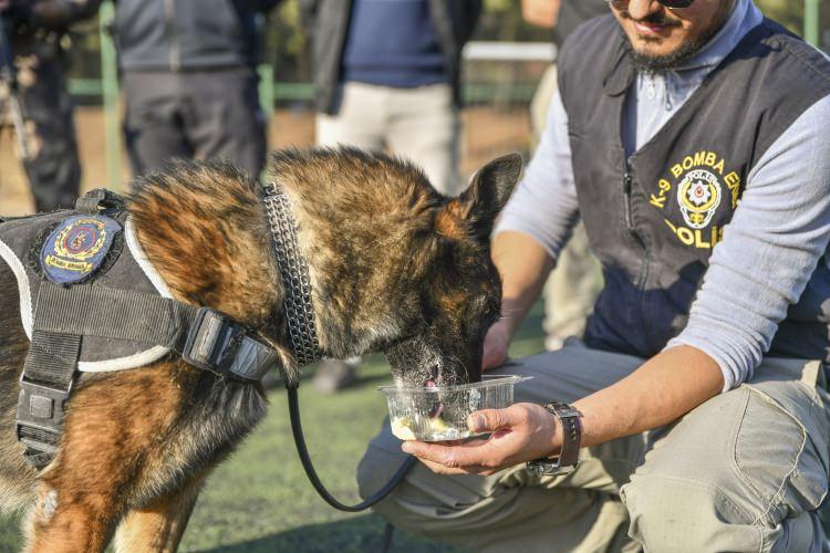 <p>"Onu evladım gibi seviyorum. Yıllarca omuz omuza beraber çalıştık. İnsan kendi evladına gece gündüz belki vakit ayıramıyor ama ben ona gece gündüz vakit ayırdım. Şu an ondan ayrılmanın üzüntüsünü yaşıyorum. Nasıl ki insanlar bir süre çalıştıktan sonra bir köşeye çekilip dinleniyorsa Timsah da aynen onlar gibi emekli oluyor artık. Tabii ki emekli olduktan sonra biz bu köpeği dışarı bırakmayacağız. Ahde vefa ister tabii ki. Yıllarca patlayıcı buldu. Emekli olduktan sonra da bizde kalacak. Tanıştığımızda nasıl bir sevgi beslediysem emekli olduktan sonra da sevgim aynı şekilde devam edecek."</p>