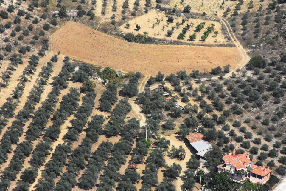 <p>Kentte zeytin ve zeytinyağı üretiminin büyük bölümü Milas, Bodrum, Yatağan ve Menteşe ilçelerinde gerçekleştiriliyor.</p>
