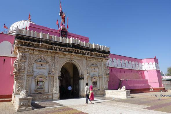 <p><strong>“FARE ÖLDÜRMENİN CEZASI, TAPINAĞA GÜMÜŞ YA DA ALTIN BİR FARE HEYKELİ HEDİYE ETMEK”</strong></p>
<p>Bikaner kentinde farelerin çok önemli olduğunu belirten Çor, “O kadar ilginç ki, insanlar farelere elleriyle yemekler getiriyorlardı ve o yemekleri onlara sunuyorlardı; hatta o getirdikleri yemekleri farelerle birlikte yiyorlardı. Gerçekten inanılmaz bir şeydi benim için. Farelere zarar gelmesin, kuşlar gelip kapmasın diye tapınağın üstüne file çekmişlerdi. Hatta yürürken birileri gelip sizi uyarıyordu, ‘Aman adım atmayın, ayağınızı sürüyerek gidin.</p>