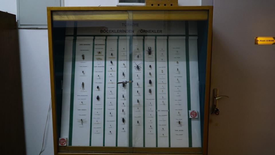 <p><em>İzin kapsamında böcekleri birçok farklı teknikle topladıklarını anlatan Hızal, konuşmasını şöyle sürdürdü:</em></p>

<p>"Böceklerin teşhislerini yapabilmek için mikroskop altında detaylı bir şekilde inceleme yapıyoruz. Dünya üzerinde yaklaşık 1 milyon tanımlanmış böcek türü var, hatta daha fazla böcek de tanımlanmayı bekliyor. </p>
