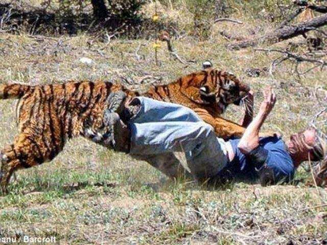 <p>Miller, kaplanın bir anda hırçınlaşmasıyla zor anlar yaşadı.</p>
<p> </p>