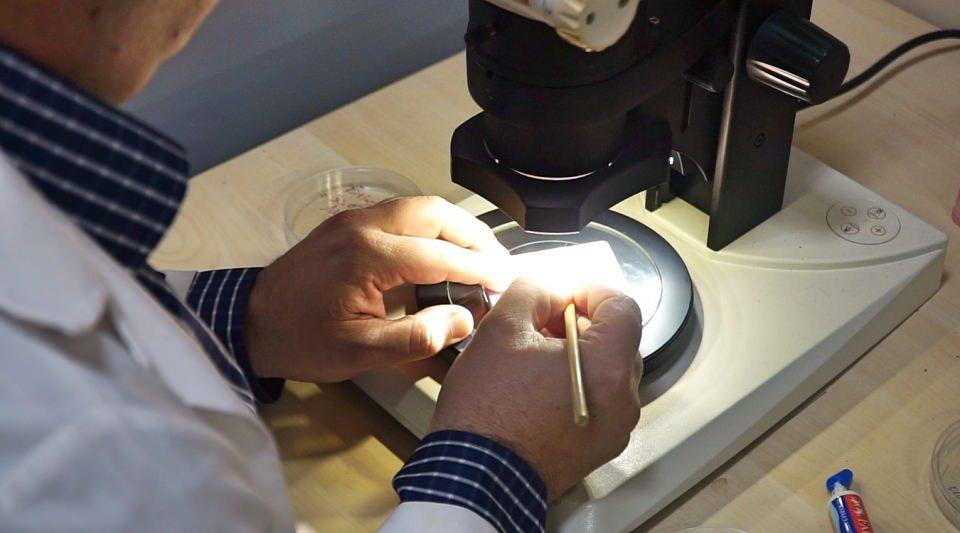<p>Çocukluğunun köylerde geçtiğini, doğa ile iç içe büyüdüğünü anlatan Hızal, "Çocukluğum böyle geçince doğaya sevgi duydum ve bu alanda çalışmalarda bulundum. Kuş, böcek besledim. Üniversite sınavına hazırlanırken rehber öğretmenim, Orman Mühendisi olabileceğimi söylemişti, ben de bu yola koyuldum. Fakülteyi bitirdikten sonra yüksek lisansa başladım ve kadro açılınca asistan oldum. İlk aşkım her zaman böcekler olmuştu. Şimdi özellikle Türkiye'deki orman ve tarım alanları için önemli etkileri olan istilacı türler üzerine çalışıyorum. Bu konularda da çalışmalarımı ilerletmeyi hedefliyorum." diye konuştu.</p>
<p> </p>