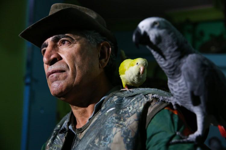 <p>"Kakadu" cinsi bir papağana yıllar önce eğitim verdiğini kaydeden Atoum, eğitimden sonra sahibine, kuşu metal kafese koymamasını söylediğini aktararak, ancak sahibinin çalışması nedeniyle kuşun uzun saatler boyunca evde tek kalması ve metal kafese konulması yüzünden strese girdiğini anlattı. </p>