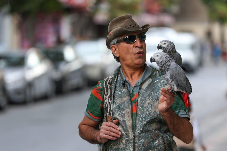 <p>"Papağan tahta ya da ağaç tünek istiyor. Papağan geziyor, dolaşıyor, yakalanıyor. Kafese konuyor, uçakla, uzun yollardan getiriliyor. Petshop'a götürülüyor, yine kafese giriyor, eve götürülüyor yine kafes. Papağan demir kafes sevmiyor, strese giriyor. Papağan doğal ortamında her şeyi yer. İnsanlar sadece çekirdek fıstık veriyor. Papağana çekirdek koymayın, normal meyveler koyun, bir kaç gün sonra onları yer. Papağan mesela her yere tuvaletini yaptı. İşaretle kızıp ‘Yaptığın şey çok ayıp’ diyorsunuz. Tuvalet eğitimi bir kaç ay sürer. Sonra papağan tuvaletini oraya yapmaması gerektiğini yavaş yavaş öğreniyor. Konuşması için günlerce aynı düzenle aynı kelimeyi söylemeniz gerekiyor. Papağan mutlu ve rahatsa, konuşma eğitimi varsa dişi erkek fark etmez konuşur." </p>