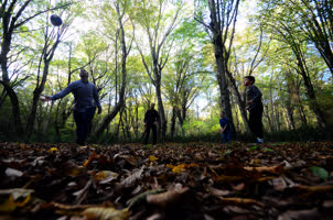 <p>Derelere ağa&ccedil;lardan d&ouml;k&uuml;len sarı yapraklar, yeşilin tonlarını her mevsim koruyan bitkiler ile ormandan ge&ccedil;en patikalar, seyrine doyulmayan manzaralar oluşturuyor. Ormanda, Mert G&ouml;l&uuml; i&ccedil;erisinde kano ile gezinerek longozun zengin florasına tanıklık etmek m&uuml;mk&uuml;n.</p>
