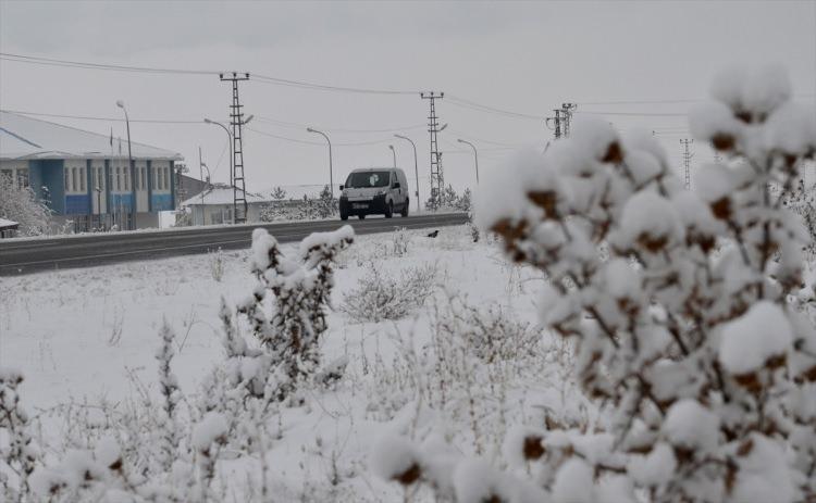 <p>KARS</p>
