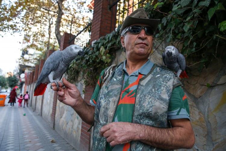 <p>Bugünlerde aynı anda 15 kuşla ilgilenen Atoum, omzuna ve eline aldığı papağanlarla caddelerde gezdiğini, dışarıda, "Kaça satıyorsun ağabey?" sorusuyla çok sık karşılaştığını ancak insanların şaşkın şaşkın kendisine bakmalarından mutlu olduğunu sözlerine ekledi.</p>