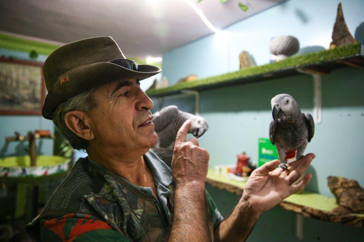 <p>Tüyleri dökülen ve saldırgan bir tavır sergileyen Kakadu papağanın rehabilitasyon için yeniden getirildiğini dile getiren Atoum, evcilleşmesi için çalışmalar yaptığını ve tüylerinin yeniden çıkması için stres tedavisi uyguladığını ifade etti.</p>