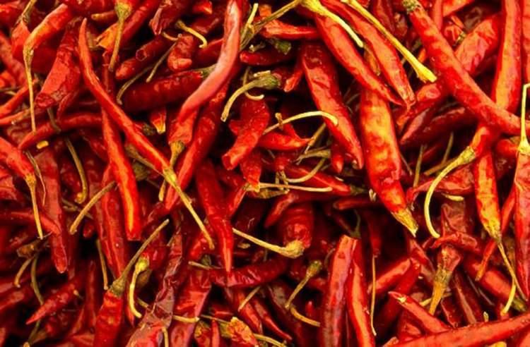 <p><strong>Acı biberin en acı kısmı neresidir?</strong></p>

<p>Acı biberin en acı kısmının &ccedil;ekirdekleri olduğuna dair inancın tersine asıl acı olan kısım, o &ccedil;ekirdeklerin tutunduğu merkezdeki zardır. Bu zar, en fazla kapsaisin i&ccedil;eren kısımdır. Kapsaisin bibere ayırt edici acılığını veren renksiz, kokusuz bileşiktir.</p>
