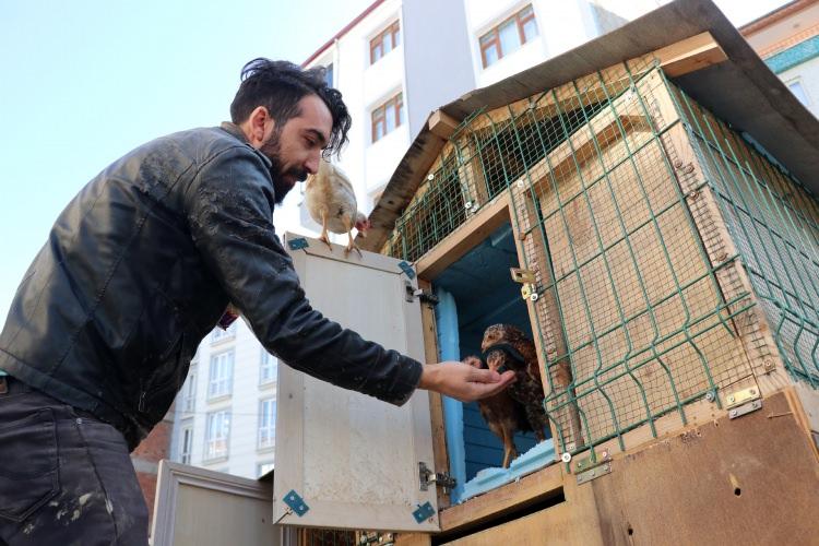 <p>Sanayi Mahallesi'ndeki bir apartmanın zemin katında at&ouml;lye işleten 30 yaşındaki Bayankulu ve ortağı Kenan Kılı&ccedil;, yaklaşık iki yıldır iş yerlerinde &ouml;rdek ve tavuk besliyor.</p>
