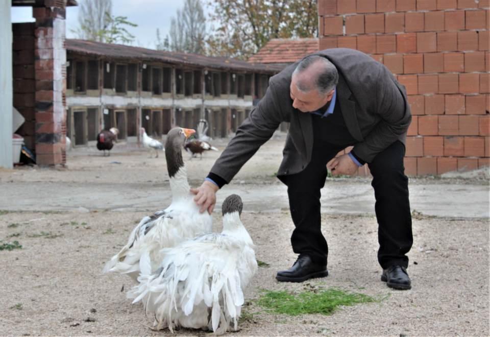 <p>Bu tavukların yılda yumurtladığı yumurta sayısı 70. Bu da ister istemez bu hayvanı nadir kılıyor" dedi.</p>