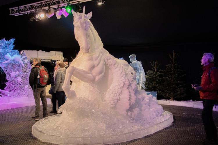 <p>Hollanda'nın Lahey kentinde düzenlenen "Buzdan Heykeller" festivali başladı. </p>
