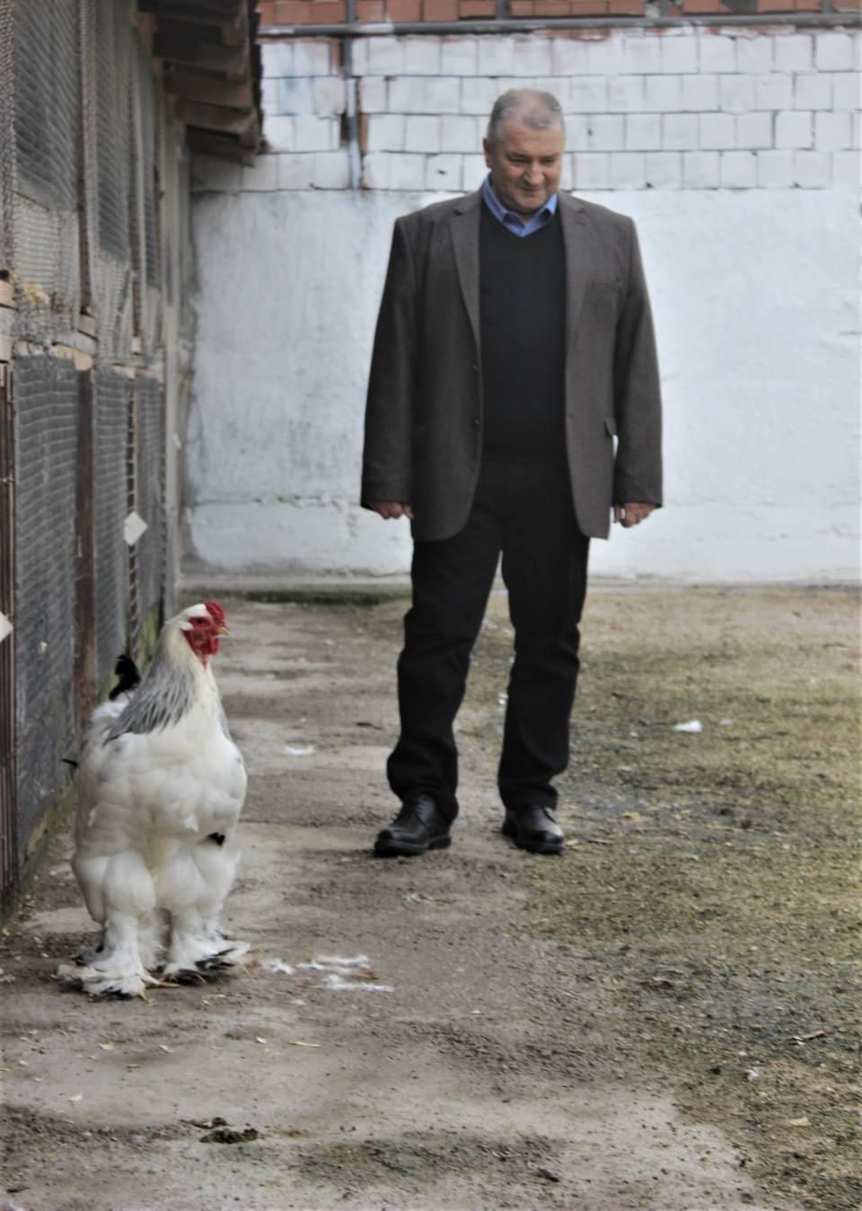 <p>Bursa’da 25 yıldır süs tavuğu yetiştiriciliği yapan Ömer Faruk Erdönmez, Türkiye’ye süs tavukçuluğunu sevdiren bir kaç kişiden bir tanesi. Erdönmez, dünyanın farklı ülkelerine giderek o ülkeye has süs tavuk yumurtalarını alarak getiriyor. </p>

