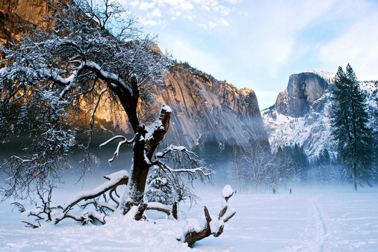 <p><strong>Yosemite Milli Parkı, ABD</strong></p>
<p>Doğanın binbir rengini ve her mevsimi olağanüstü manzalarla yaşayan Yosemite Milli Parkı, kar yağışının bol olduğu kış aylarında vahşi büyüsünü alabildiğine sunuyor.</p>