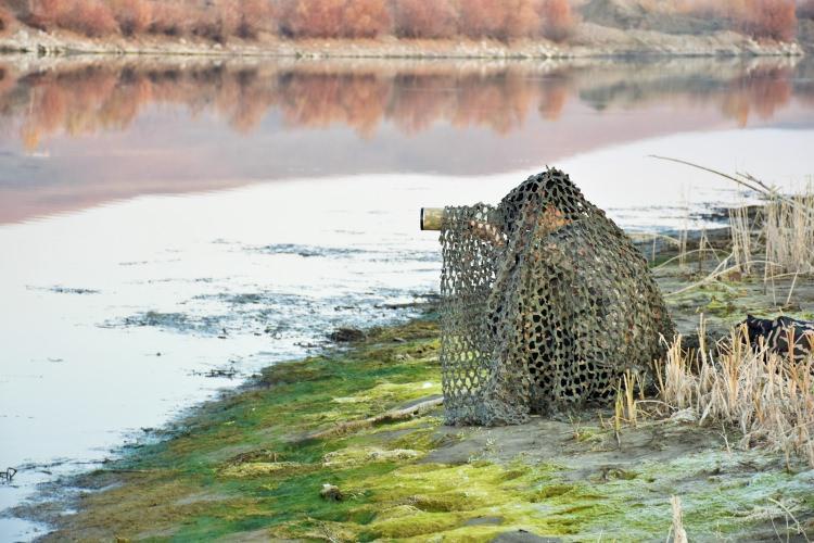 <p>Muş'un kuşların göç güzergahında bulunduğunu, bundan dolayı özellikle bahar aylarında bölgede çok sayıda kuş türünün gözlemlendiğini belirten Alagöz, doğaya olan ilgisi dolayısıyla kuş fotoğraf çekmeyi seçtiğini aktardı. </p>
