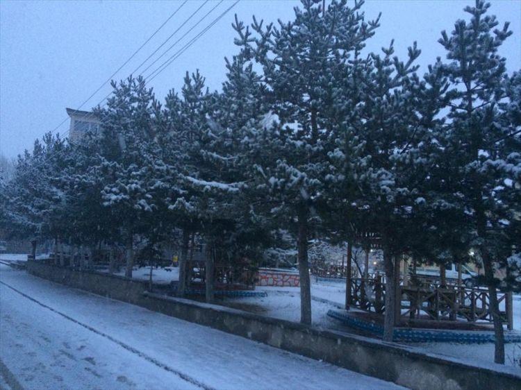 <p>SİVAS</p>
