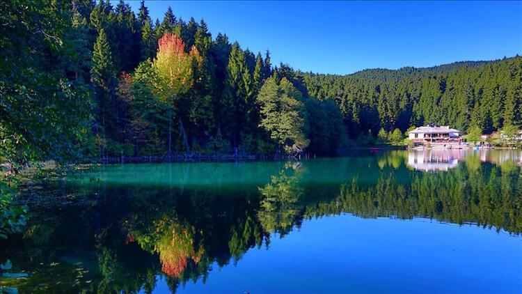 <p>30- HATAY<br />
<br />
Genel Endeks Puanı: 46,89<br />
<br />
29- ARTVİN<br />
<br />
Genel Endeks Puanı: 47,35<br />
<br />
28- MALATYA<br />
<br />
Genel Endeks Puanı: 47,36</p>