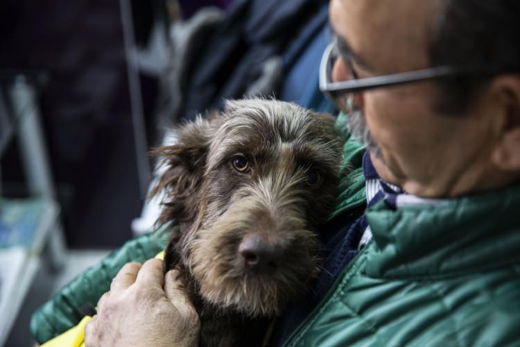 <p>Sahiplendiği köpeğe Einstein ismini veren Hüdaverdi, eşi ve bazı hayvansever yakınlarının tavsiyesiyle Yenimahalle ilçesindeki özel bir klinikte hizmet veren veteriner hekim Hüseyin Solak ile iletişime geçti. Burada aylarca tedavi edilen Einstein, sağlığına kavuşarak yeni yuvasının yolunu tuttu.</p>
