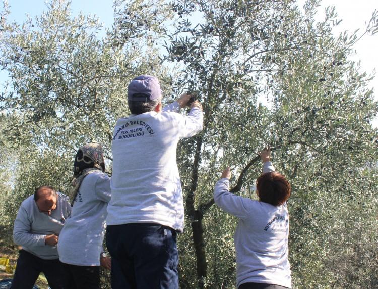 <p>Bu dağıtım işinde kimseyi rencide etmiyoruz.</p>