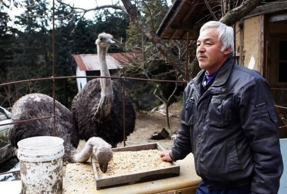 <p><strong>Tomioka / JAPONYA</strong></p>
<p>55 yaşındaki Naoto Matsumura, Tomioka’nın tek sakini… Fukushima nükleer enerji santrali patlamasının ardından ‘sınırlanmış bölge’ içinde bulunan bir hayalet kasabada yalnız başına yaşıyor.</p>