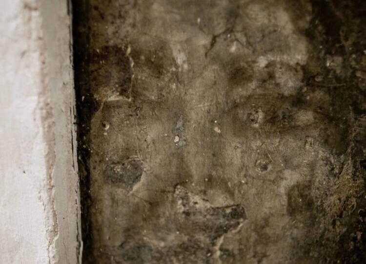 <p>Olayı kendi gözleriyle gören kişiler bile bu büyük gizeme inanamıyor. Alman araştırmacı Hans Bender, yaşanmakta olan bu gizemi 20. yüzyılın en önemli paranormal olayı olarak gördüğünü söylüyor. Sürdürülen çalışmalar sırasında bazı araştırmacıların dikkatini duvarlardaki resimlerin gün geçtikçe gençleştiği ve ifadelerinin değiştiği çekiyor.</p>