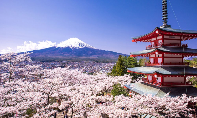 <p><strong>7. Japonya: </strong></p>
<p>GSYH: 4,9 trilyon dolar</p>
<p>Nüfus: 127.0 milyon</p>
<p>Kişi başına düşen yıllık gelir: 41.220 dolar</p>
<p> </p>