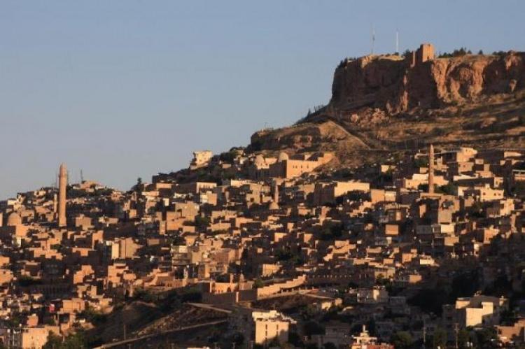 <p>Mardin: 14 işyeri</p>