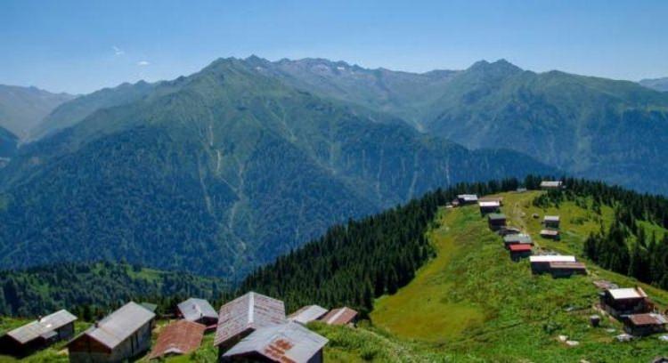 <p>Rize: 3  işyeri</p>
