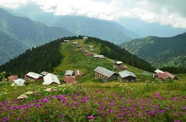 <p><strong>Rize</strong></p>

<p>İstanbul'daki nüfus: 299 bin 810 kişi</p>

