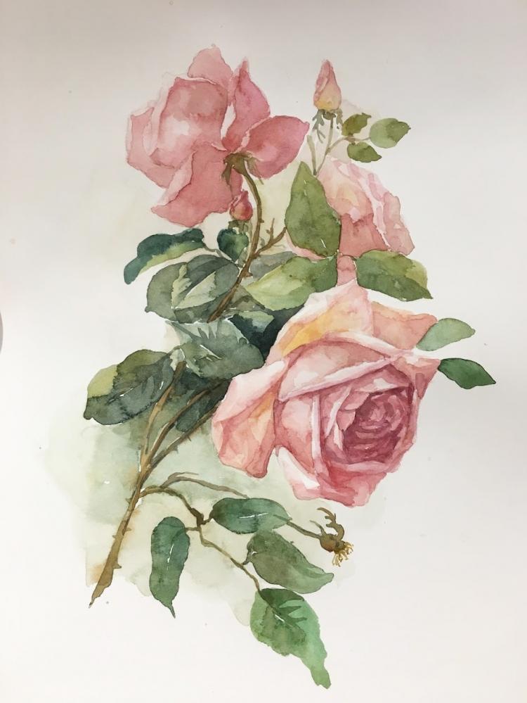 <p>44-China-Emilia HuanZhang-Rose</p>
